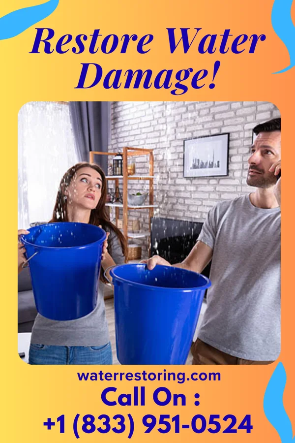 water restoration Quality Flood Damage Team Rutherford